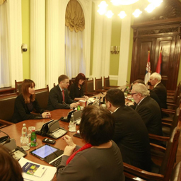Stefanović s članovima Komiteta PS SE