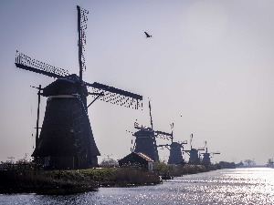 Holandija, "pametnim zatvaranjem" protiv korone