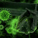 Koronavirusi iz šišmiša retko napadaju čoveka, jednom u hiljadu godina