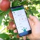 Po namirnice preko interneta, u voćnjak pošaljite digitalnog agronoma