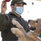 Čileanska policija obučava pse da nanjuše kovid-19