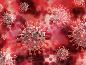 Британски научници тврде да постоји шест типова испољавања болести ковид-19
