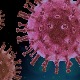 Kина, коронавирус пронађен на увозној амбалажи лигњи