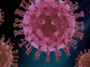 Kина, коронавирус пронађен на увозној амбалажи лигњи