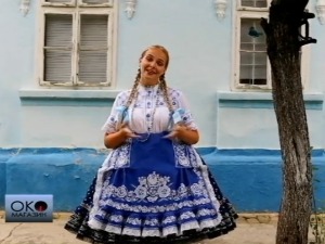Словаци у Бачкој, куће мале кречене у плаво