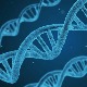 Пет гена повезано са најтежим облицима ковида 19, показује студија у Великој Британији