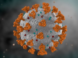 Koronavirus bi mogao da postane bezopasan zbog mutacija