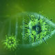 Шест ствари о новом соју коронавируса, неке су забрињавајуће