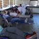 Ovoga ima samo u Srbiji – u kafani, uz vola na ražnju, davanje krvi i vakcinacija