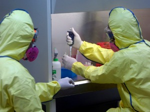 Svetski virusolozi upozoravaju: Počelo vreme pandemija, na planeti više od 1,6 miliona virusa
