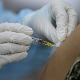 Драстично скочио број пријављених за вакцинацију у Италији након одлуке о увођењу “зелене пропуснице“ 