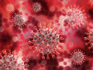 Šta se zna, a šta se ne zna o lambda soju koronavirusa