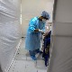 Indija odobrila prvu u svetu DNK vakcinu protiv kovida 19