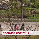 5 500 000 избеглих